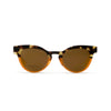 Céline Solaire Orange & Tortoise Solaire Lunettes