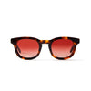 Claude Solaire Tortoise Solaire Lunettes
