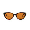 Colette Solaire Tortoise & Brown Solaire Lunettes