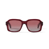 Colin Sun Clear Burgundy Sun Glasses