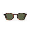 Enzo Solaire Tortoise Solaire Lunettes
