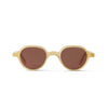 Gaby Sun Honey Sun Glasses