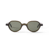 Gaby Sun Clear Dark Olive Sun Glasses
