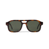 Lenny Sun Havana Tortoise Sun Glasses