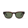 Francis Solaire Dark Tortoise Solaire Lunettes