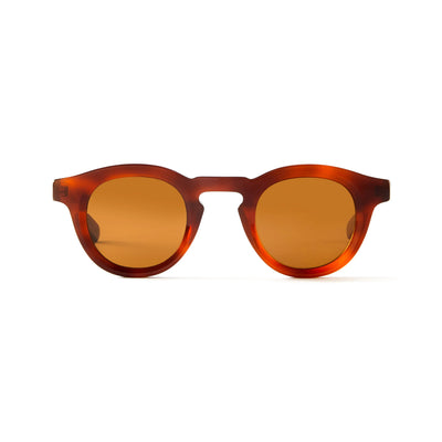 Photo of a pair of Jude Sun Cognac Sun Glasses by FrenchKiwis