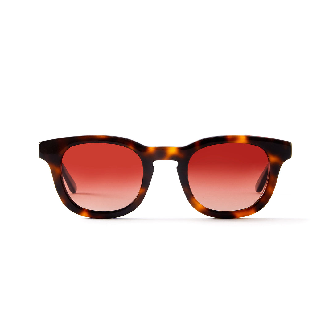Claude Reading & Sunglasses – FRENCH KIWIS