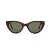 Colette Sun Dark Tortoise Sun Glasses