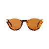 Charlie Sun Tortoise & Gold Sun Glasses